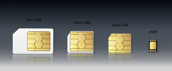 SIM kaart. Slimme cellulaire draadloze communicatie gsm chip, elektronica en telecommunicatie microchip ontwerp op wit. Classificatie en soorten simkaarten. — Stockvector