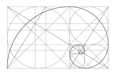 Vektör altın ilişki şablonu. Altın spiral, altın oran, Fibonacci dizisi, Fibonacci sayısı. İlahi Oranlar.