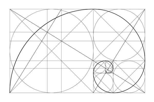 Modelo de relacionamento de ouro vetorial. Espiral dourada, proporção dourada, matriz de Fibonacci, número de Fibonacci. Proporções divinas. —  Vetores de Stock