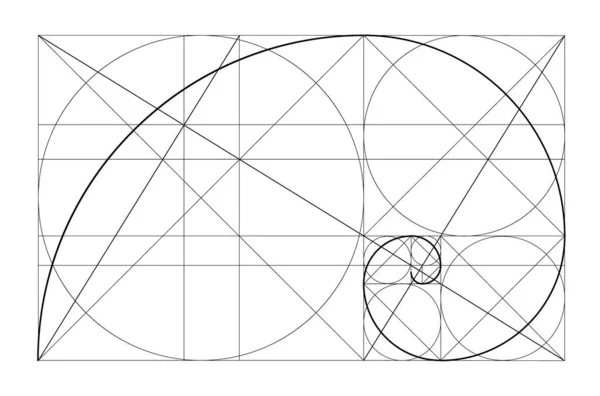 Vektor arany kapcsolat sablon. Arany spirál, arany arány, Fibonacci tömb, Fibonacci szám. Isteni arányok. — Stock Vector