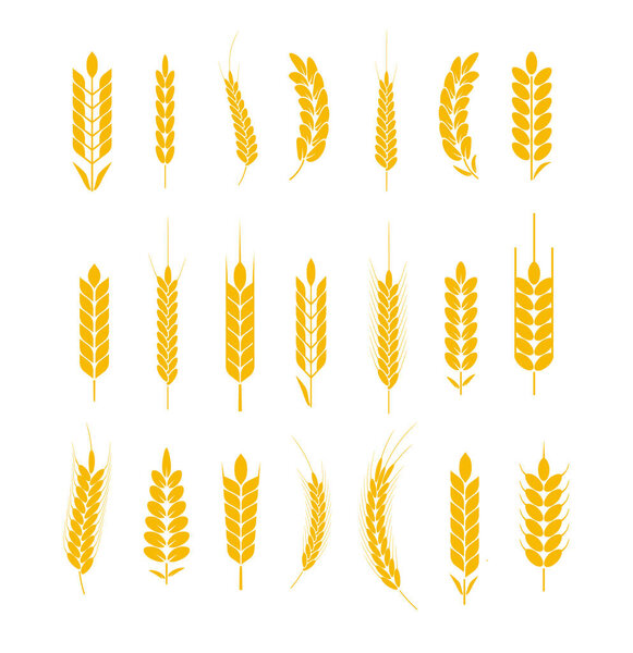 Уши пшеницы и ржаного логотипа. Ячменное рисовое зерно и элементы для пива или органических сельскохозяйственных продуктов. Векторная иллюстрация