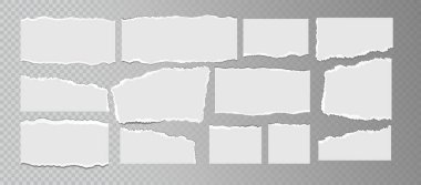 Şeffaf arkaplanda izole edilmiş gerçekçi yırtık beyaz kağıt kağıtlar. Düz olmayan dokusu olan yırtık boş sayfalar. Vektör illüstrasyonu