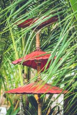 Kırmızı güneş şemsiyeleri 