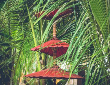 Kırmızı güneş şemsiyeleri 