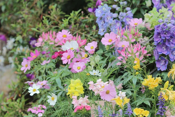 Ogrody kwiatowe w ogrodzie formalne — Zdjęcie stockowe
