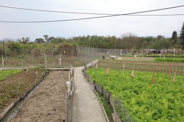 Ma Shi Po nefes Fanling, hk