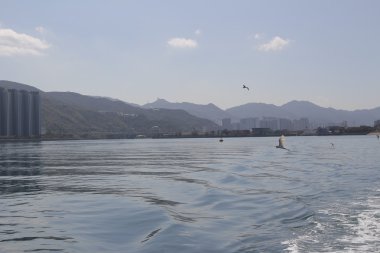 Geminin geçtikten sonra