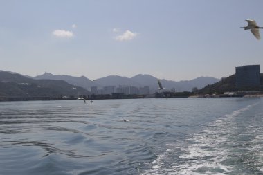 Geminin geçtikten sonra