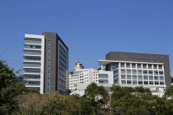 Hong Kong Cuhk Çince Çince Üniversitesi — Stok fotoğraf