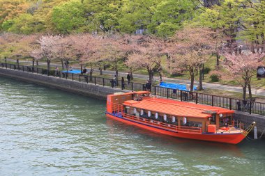 Cherry trees of Okawa and water-bus clipart