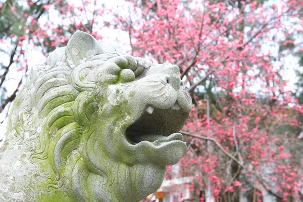 Lion in front of the entrance Kwan Kung Pavilion — Stock Photo, Image