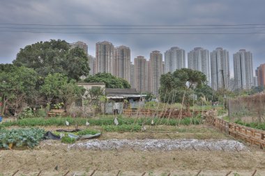  Ma Shi Po nefes Fanling, hk