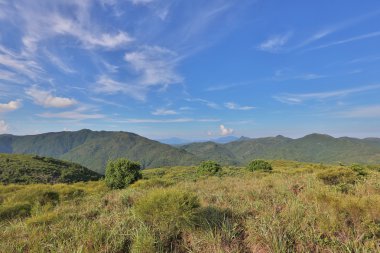 Sai görünümünü Tai Tun kung