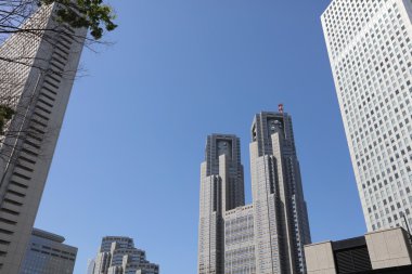 Tokyo Metropolitan hükümet, Shinjuku 2016