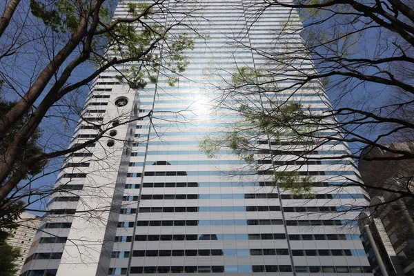 Grattacieli a Shinjuku, Tokyo, Giappone — Foto Stock