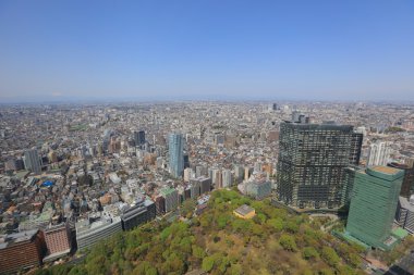 Tokyo şehir sokakları Shinjuku gökdelenler 