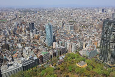 Tokyo şehir sokakları Shinjuku gökdelenler 