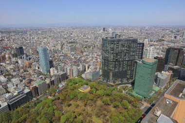 Tokyo şehir sokakları Shinjuku gökdelenler 