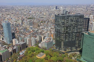 Tokyo şehir sokakları Shinjuku gökdelenler 