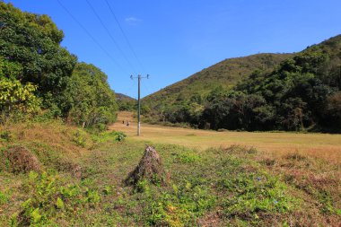  Chung, sai sham kung