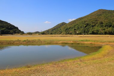 Chung, sai sham kung