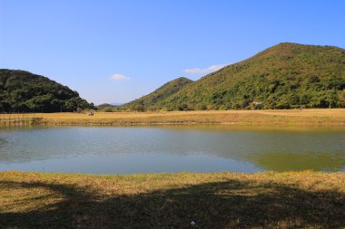 Chung, sai sham kung