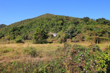  Chung, sai sham kung