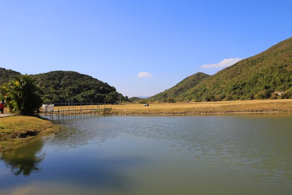 偽のチョン、sai kung — ストック写真