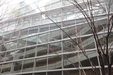 Modern binanın cam cephesi