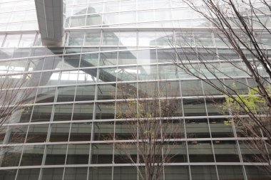 Modern binanın cam cephesi