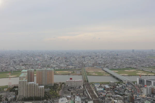 Ichikawa zabytkowym budynku z widokiem na — Zdjęcie stockowe