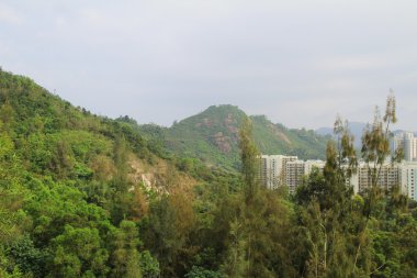 Şeytan'ın en yüksek kowloon 