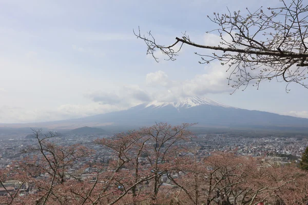 新倉浅間神社 Chureito パゴダ — ストック写真