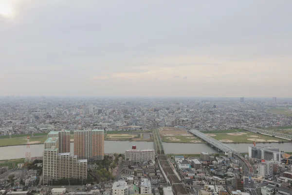 En Ichikawa historiska byggnad har utsikt över — Stockfoto