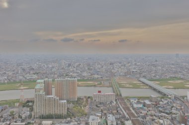  Ichikawa tarihi bina bakan 