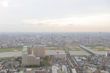  Ichikawa bakan oluşturma tarihi 