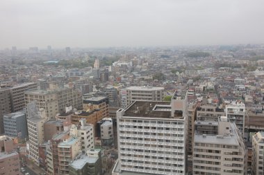  Nerima Batı alanının havadan görünümü 