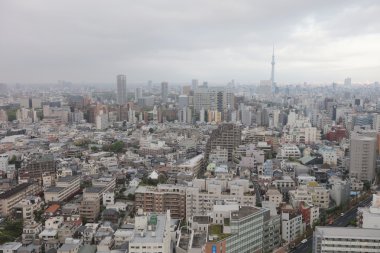  tokyo ile doğru Bunkyo ve Taito bölgesi