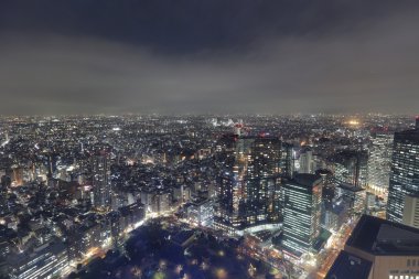 Tokyo hava görünümünü binalar