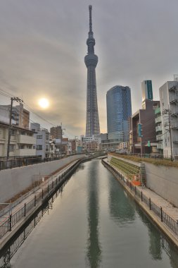 Tokyo Sky ağaç görünümünü gün zaman 634m 