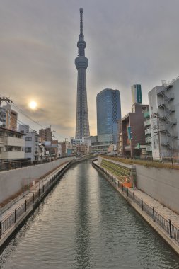 Tokyo Sky ağaç görünümünü gün zaman 634m 
