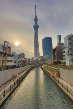 Tokyo Sky ağaç görünümünü gün zaman 634m 