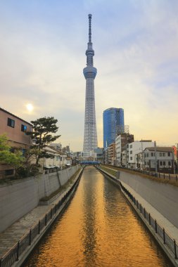 Tokyo Sky ağaç görünümünü gün zaman 634m 