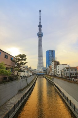 Tokyo Sky ağaç görünümünü gün zaman 634m 