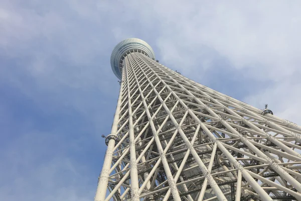 Albero del cielo di Tokyo con sentiero aereo — Foto Stock