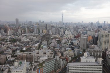  tokyo ile doğru Bunkyo ve Taito bölgesi
