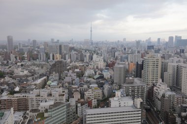 Tokyo şehir manzarası. Bunkyo ward havadan görünümü.