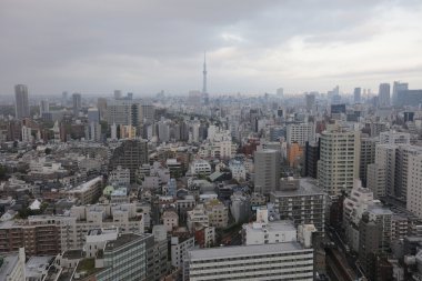 Tokyo şehir manzarası. Bunkyo ward havadan görünümü.