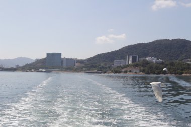 Geminin geçtikten sonra