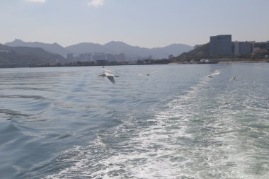 Geminin geçtikten sonra